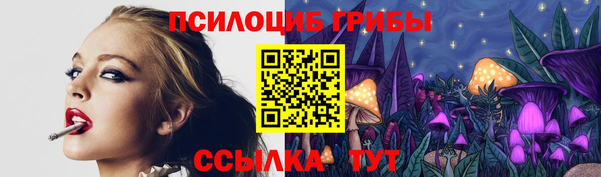 Вязники  Псилоцибиновые грибы Cubensis  Вход с VPN 